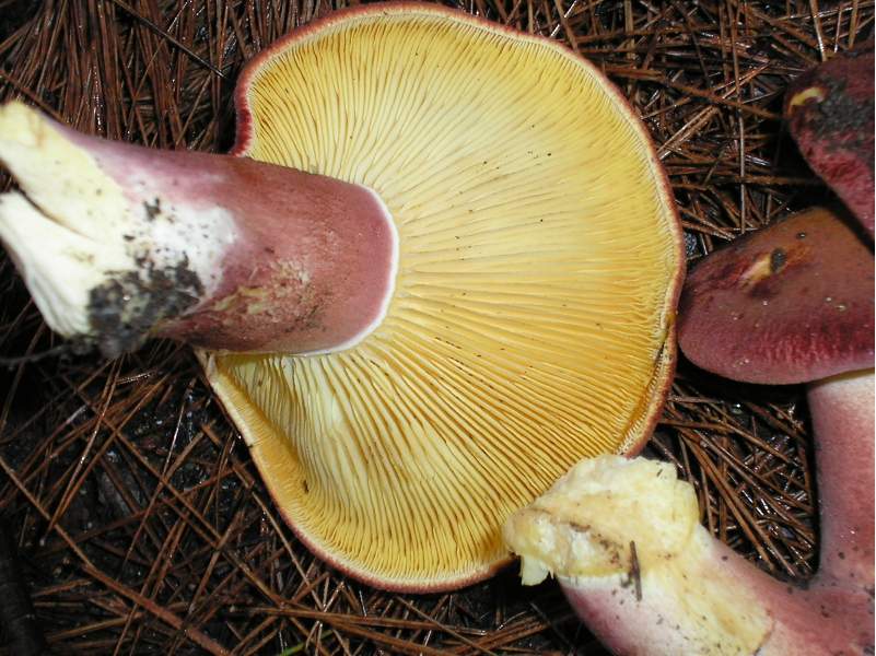 ....il seguito di domenica 2